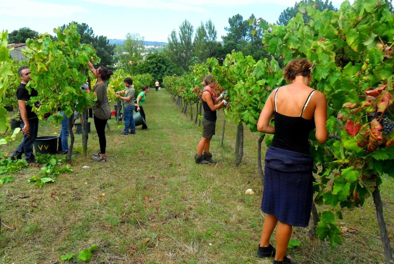 Verde Agua Agroturismo E Agricultura Biologica Couto 外观 照片