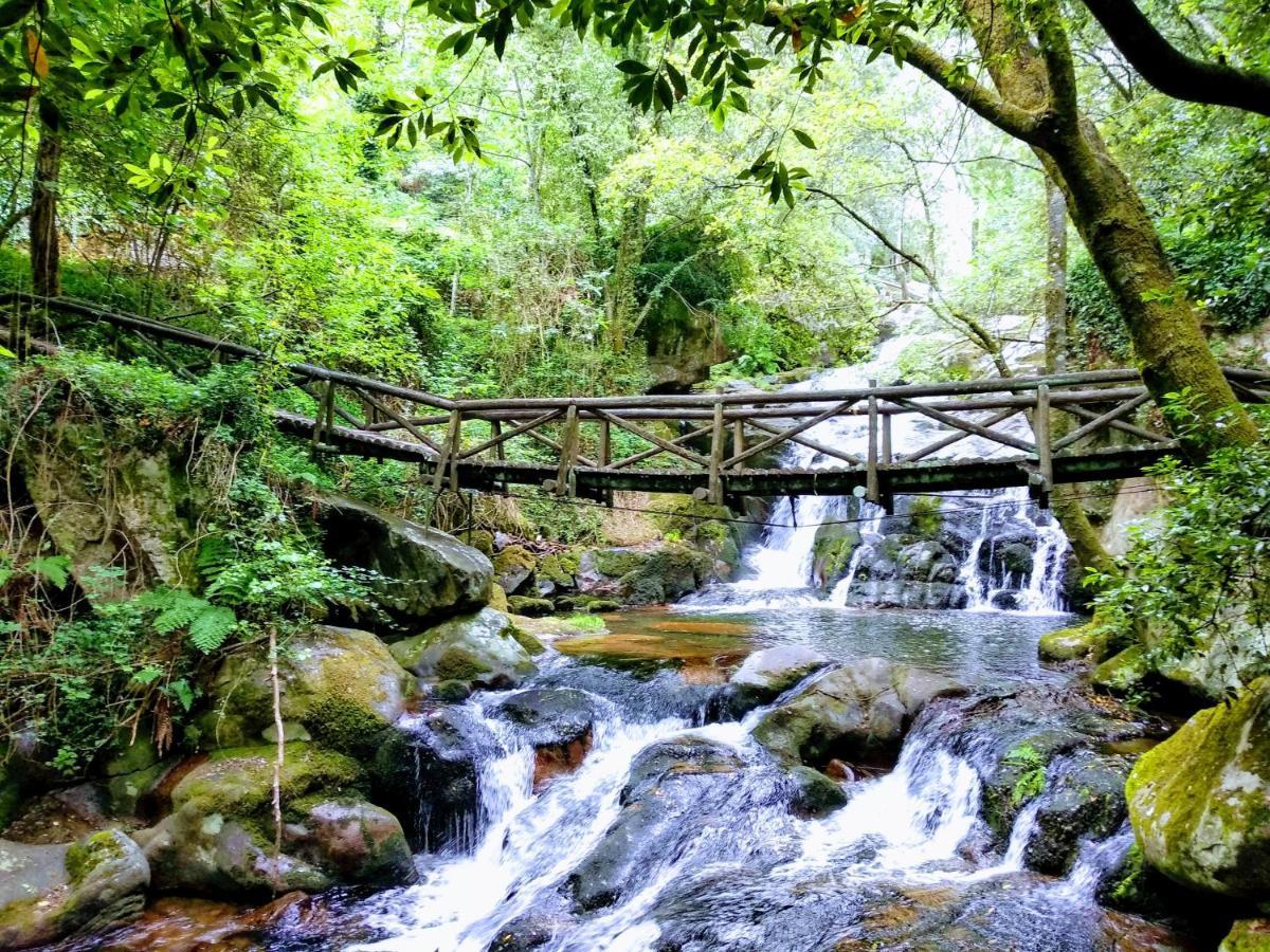 Verde Agua Agroturismo E Agricultura Biologica Couto 外观 照片